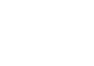 SmartHub White Logo